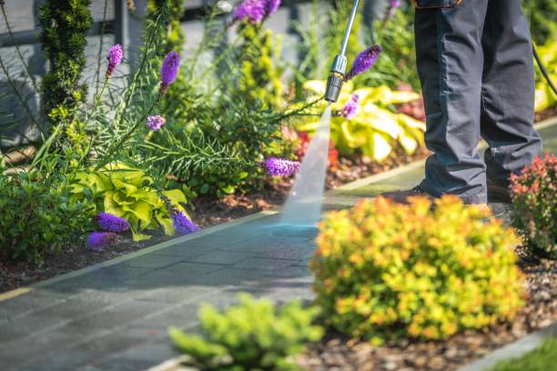 Best Sidewalk and Walkway Cleaning  in Audubon, NJ