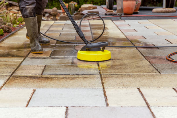 Best Solar Panel Cleaning  in Audubon, NJ